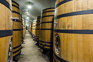 任天堂Switch固件升级16.0.1没有新增功能